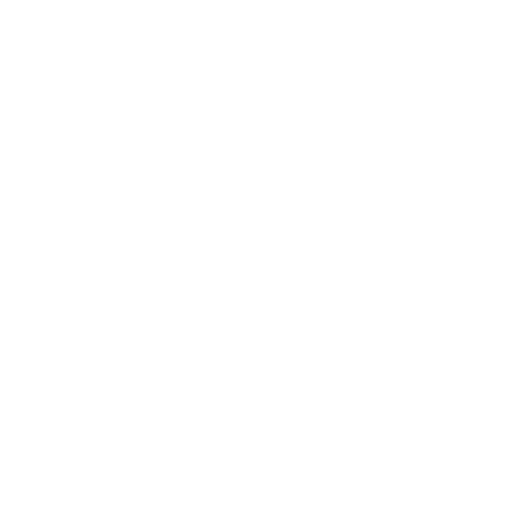 IP leakage icon