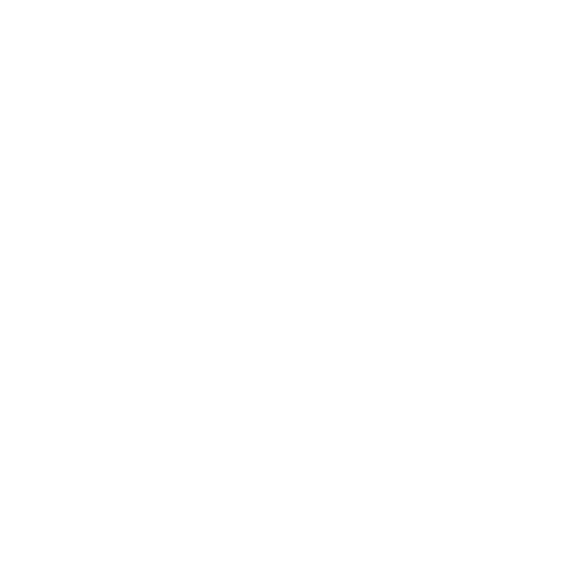 IP leakage icon