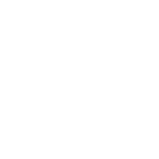 IP leakage icon
